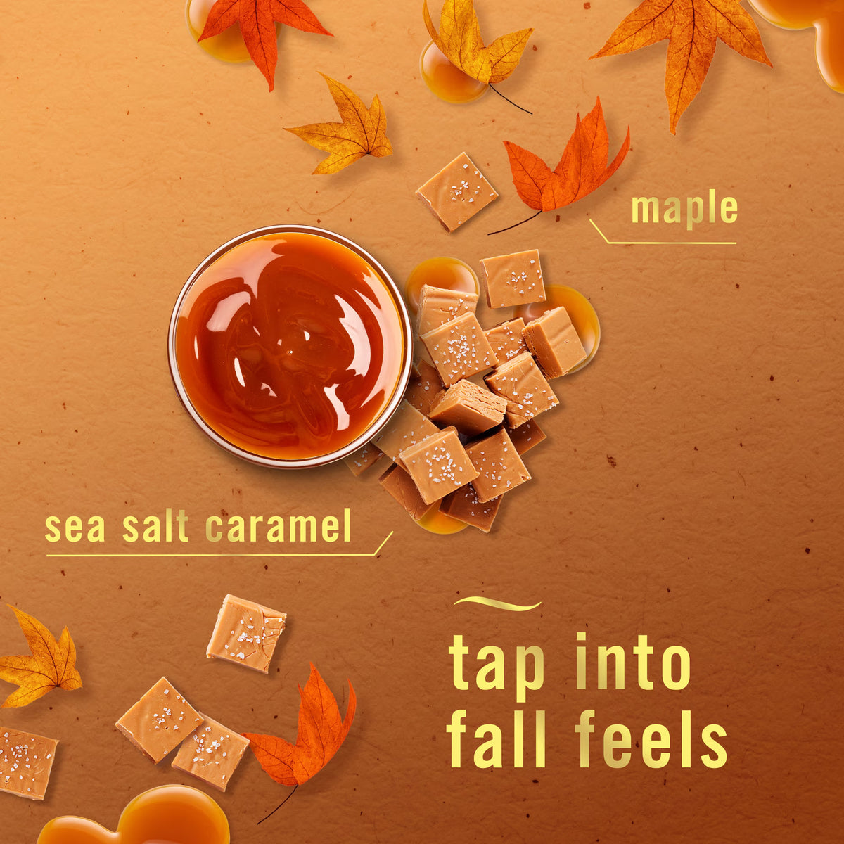 Febreze Plug Scented Oil Refills, Sea Salt Caramel & Maple, 0.87oz, 2 Count -