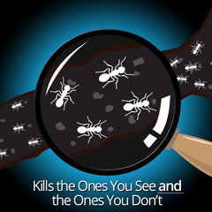 Combat Max Ant Killing Gel, 1 Syringe, 0.95oz (27g)