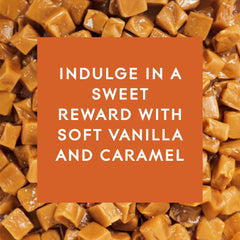 Glade PlugIns Scented Oil Refills, Vanilla Caramel Twist, 0.67oz, 5 Count