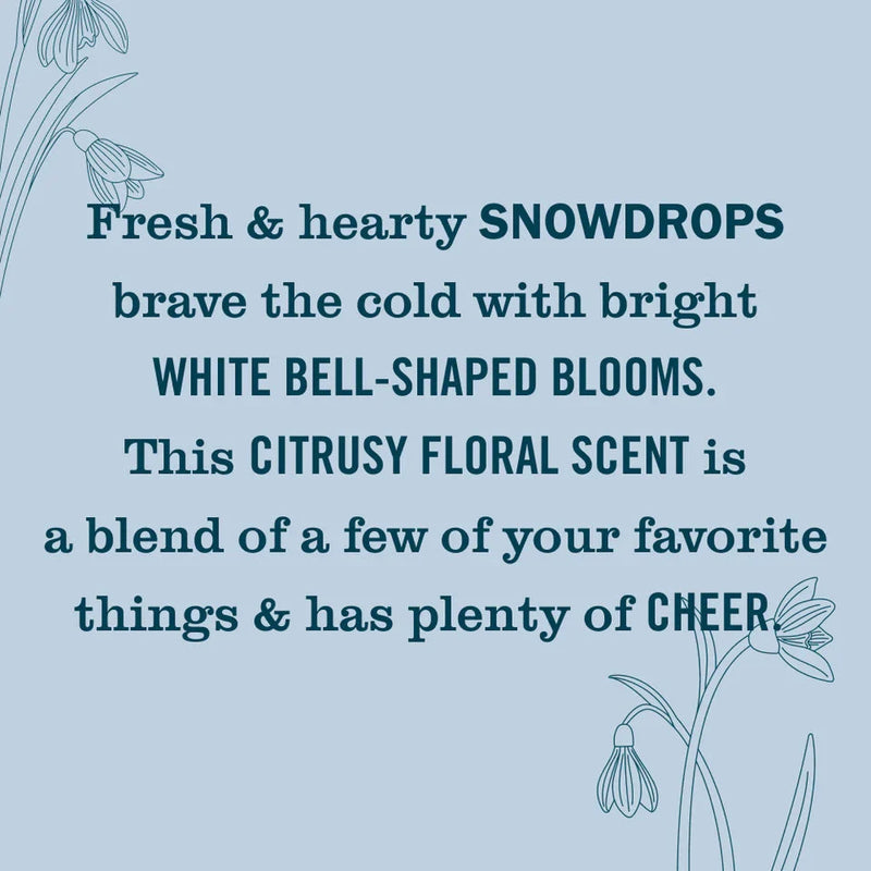 Mrs. Meyers Clean Day Liquid Hand Soap, Snowdrop, 12.5oz