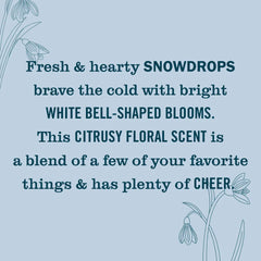 Mrs. Meyers Clean Day Liquid Hand Soap, Snowdrop, 12.5oz