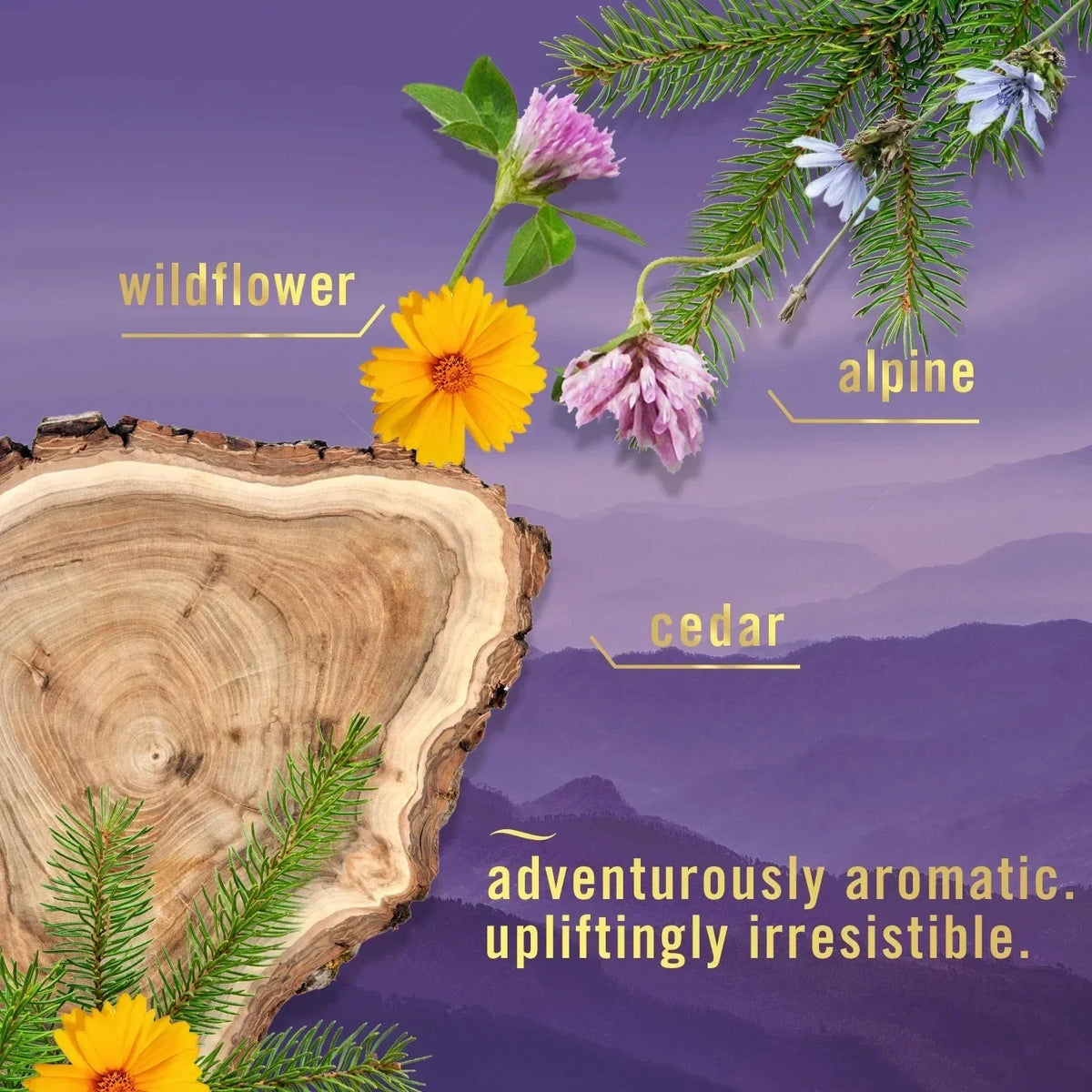 Febreze Small Spaces Air Freshener, Mountain Scent, image 2