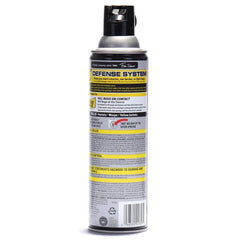 Raid Wasp & Hornet Spray Killer Spray, 14 Oz.
