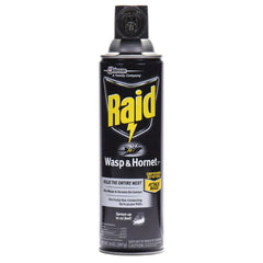 Raid Wasp & Hornet Spray Killer Spray, 14 Oz.