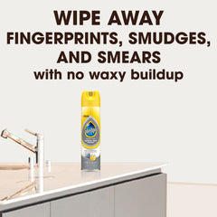 Pledge Expert Care Stainless Steel Cleaner, Lemon, 9.7oz