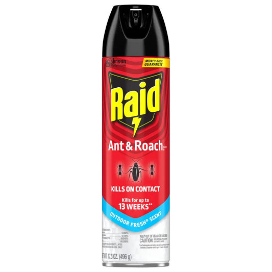 Raid Ant & Roach Killer, Outdoor Fresh Scent, 17.5 oz -