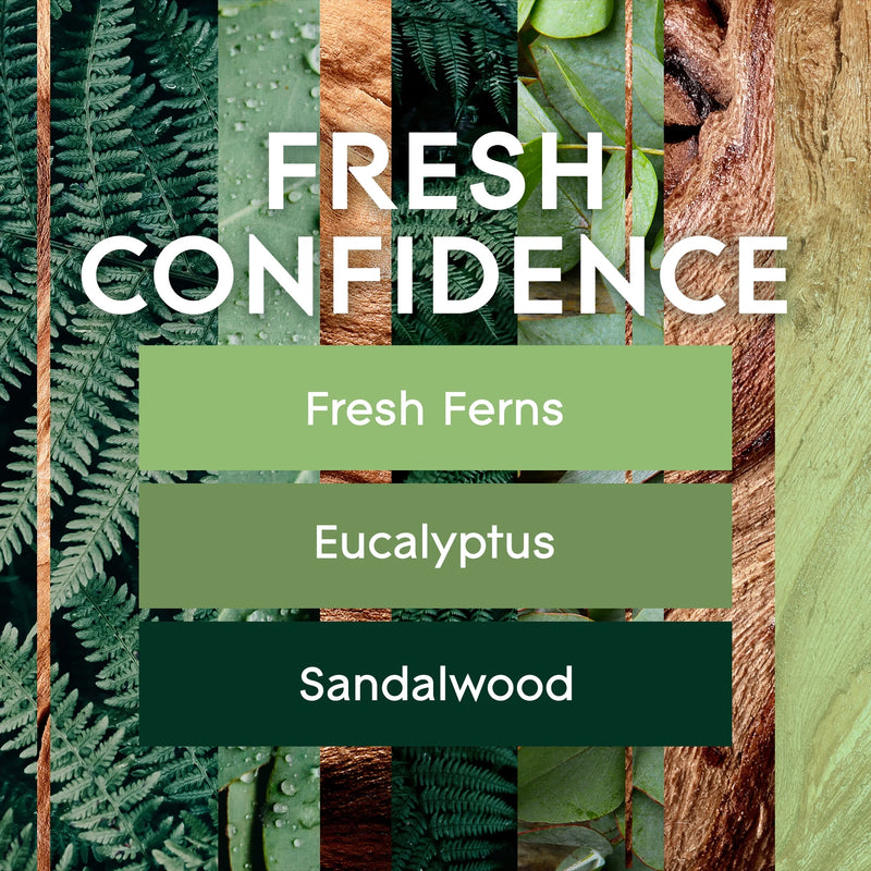 Glade PlugIns Scented Oil Air Freshener Refills, Fresh Confidence, 0.67 oz, 2 Count