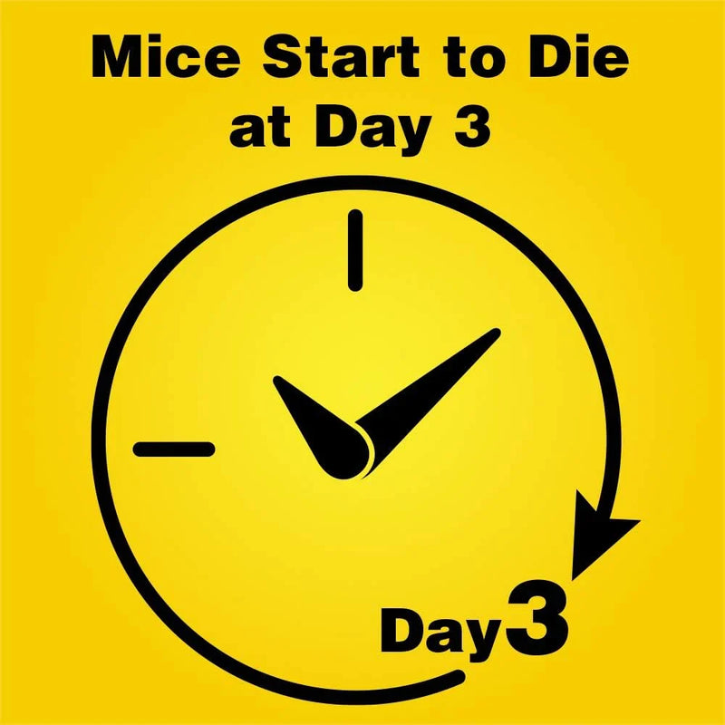 d-Con Disposable Bait Station for Home Mice, 0.5 Oz, 3-Count