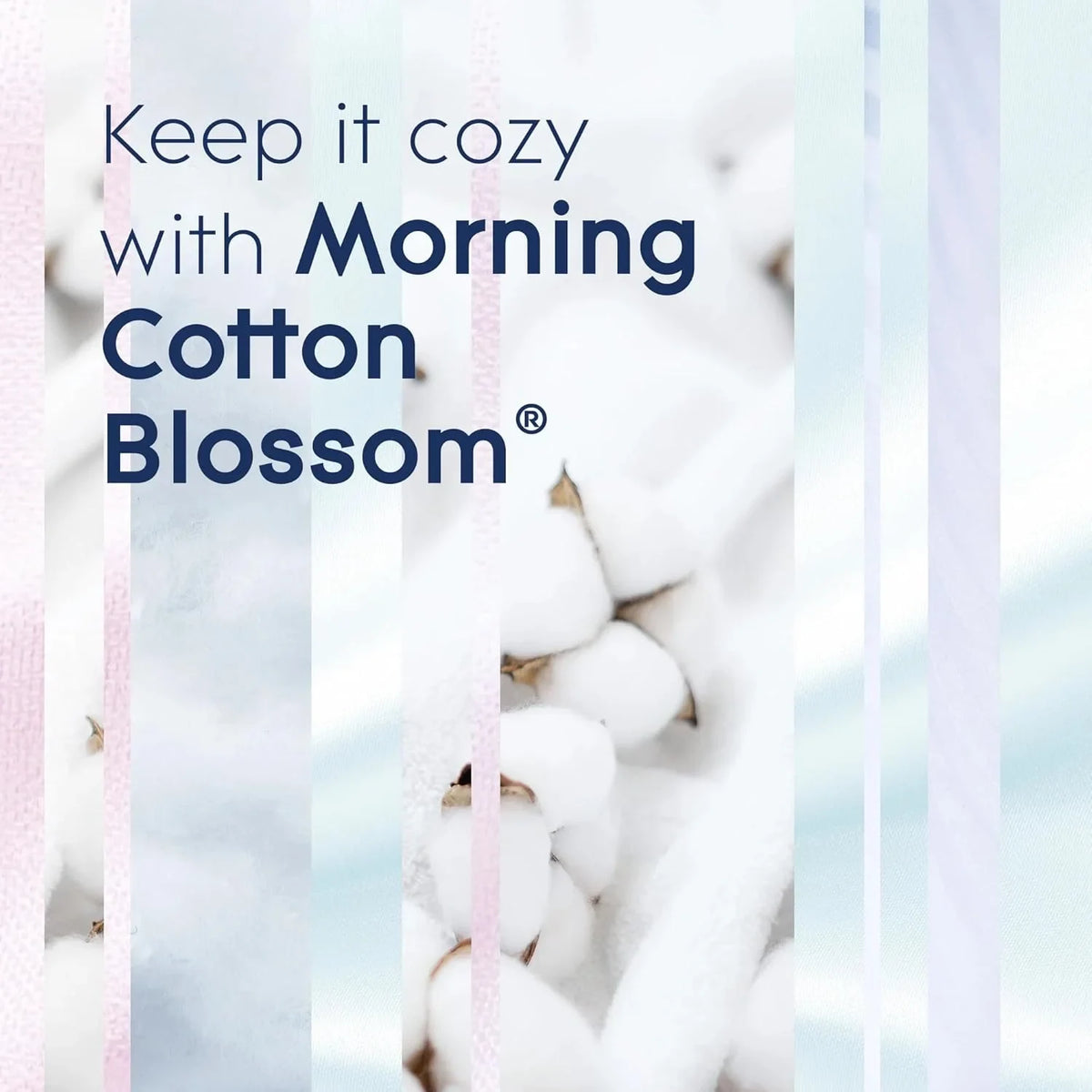 Glade PlugIns Scented Oil Refills, Morning Cotton Blossom, 5 Count -