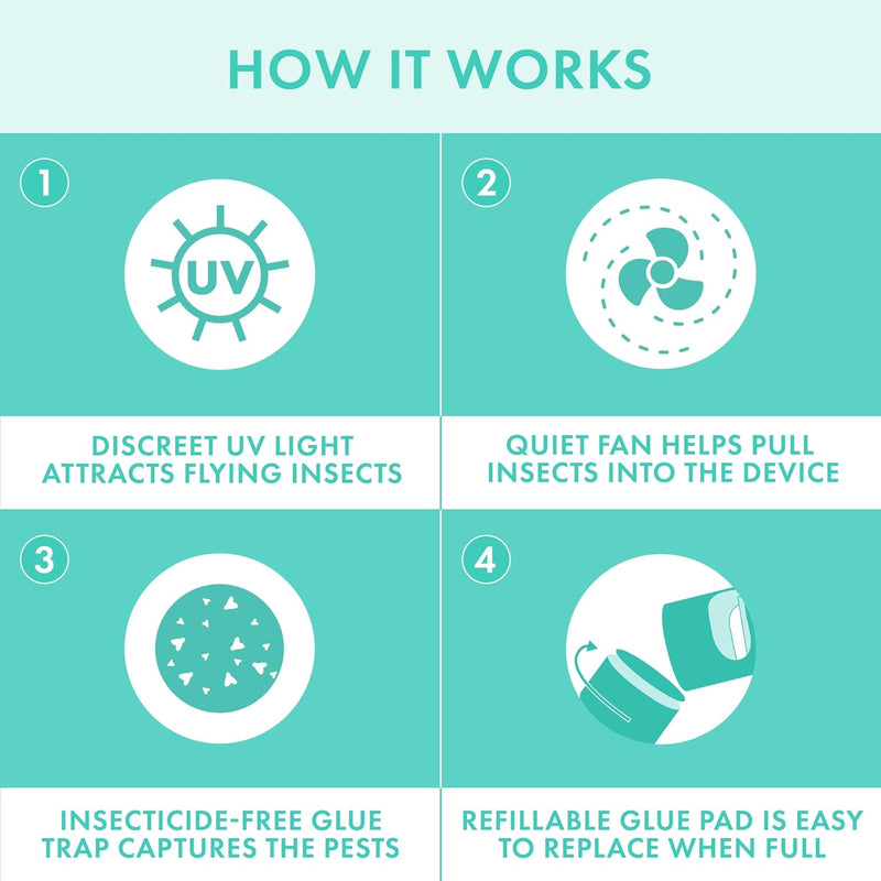 STEM Flying Insects Fan Trap Starter Kit: 1 Device + 5 Glue Traps