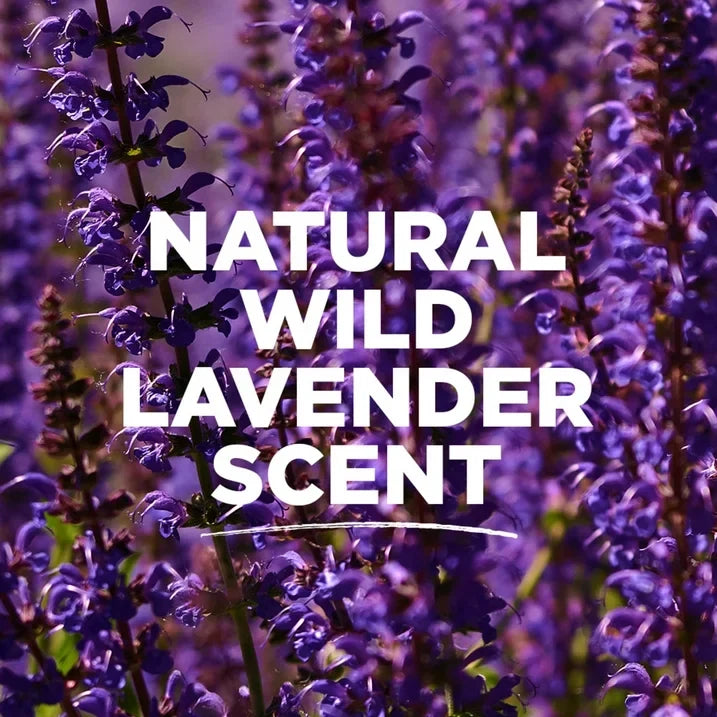 Tom's of Maine Long-Lasting Aluminum-Free Natural Deodorant, Wild Lavender, 2.25 oz
