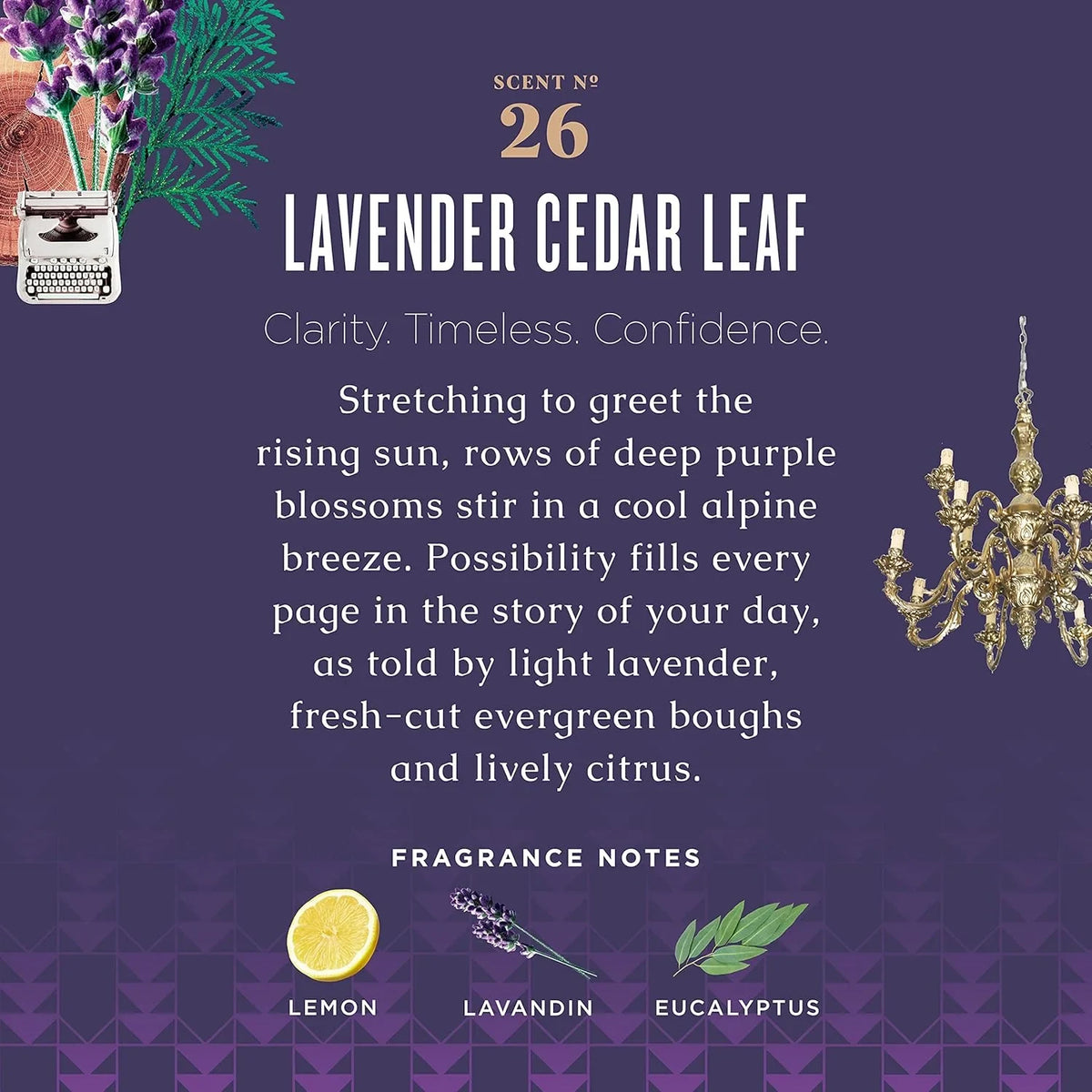 Caldrea Hand Soap, Lavender Cedar Leaf, 10.8 oz, image 2