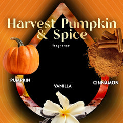 Air Wick Essential Mist Refill, Vibrant, Harvest Pumpkin & Spice