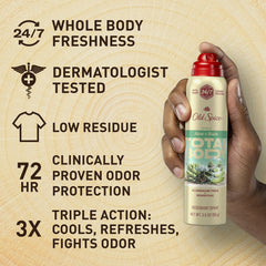 Old Spice Total Body Deodorant Spray, Aloe + Rain, 3.5oz