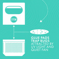 Stem Flying Insect Fan Trap Refills, 5 Glue Traps