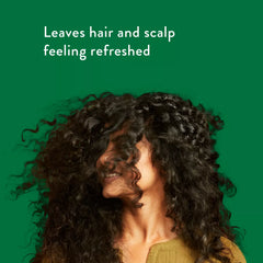 Native 2 in 1 Scalp Refreshing Shampoo & Conditioner, Eucalyptus & Mint, 16.5oz