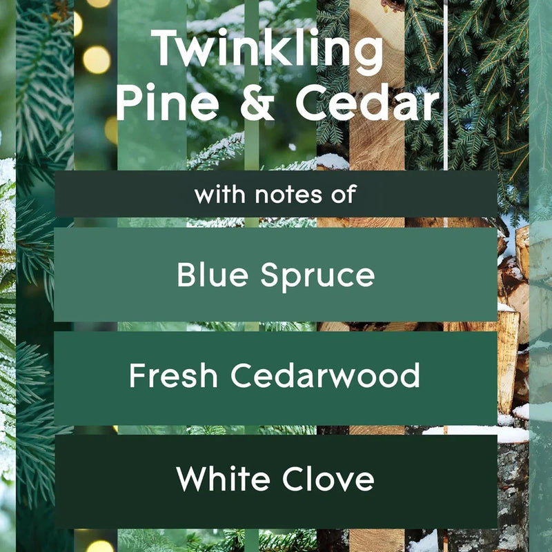 Glade PlugIns Scented Oil Air Freshener Refills, Twinkling Pine & Cedar, 0.67 oz, 5 Count