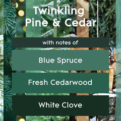 Glade PlugIns Scented Oil Air Freshener Refills, Twinkling Pine & Cedar, 0.67 oz, 5 Count