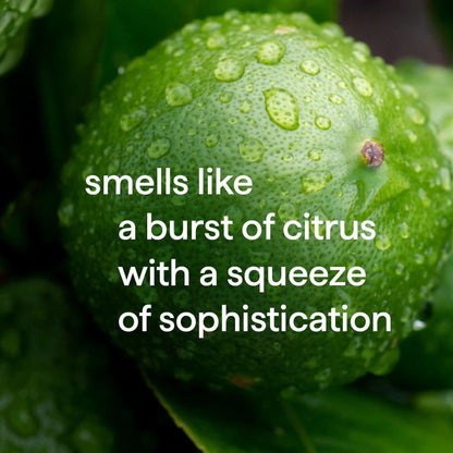 Method Men 2-in-1 Shampoo + Conditioner, Bergamot + Lime, 14oz -