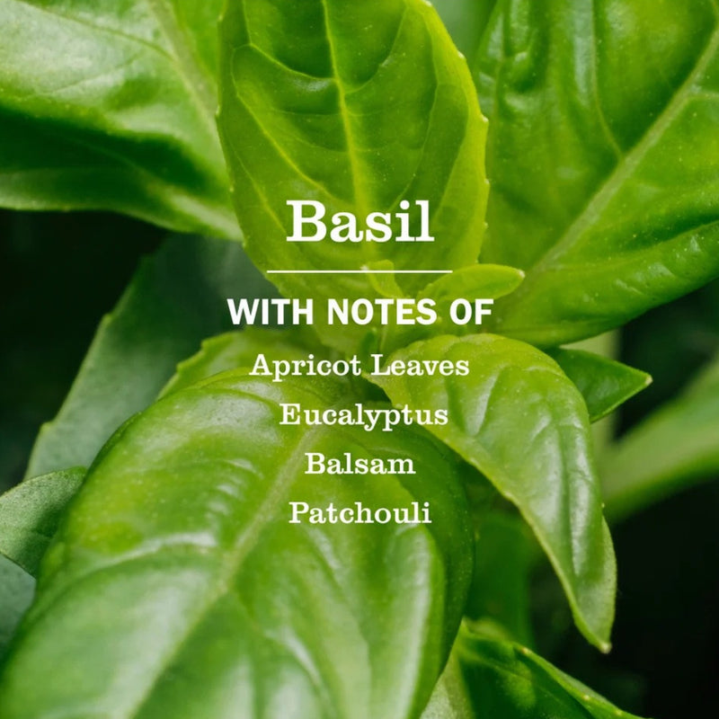 Mrs. Meyer's Dryer Sheets, Basil, 80 Count