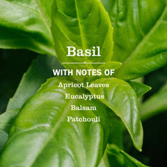 Mrs. Meyer's Dryer Sheets, Basil, 80 Count