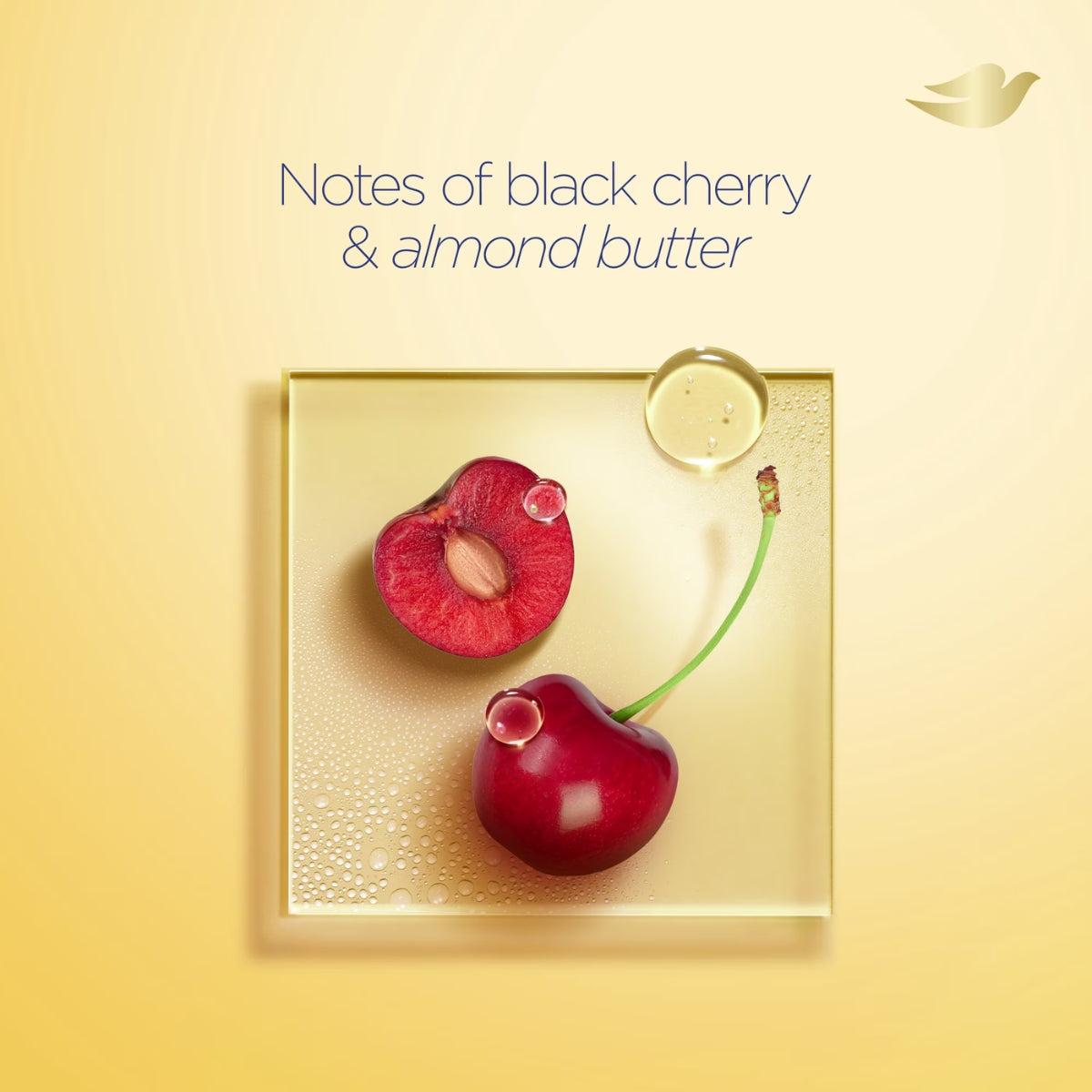 Dove Melanin Radiance Body Wash, Velvet Cherry Vanilla, 18.5oz -