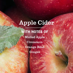 Mrs. Meyers Clean Day Kitchen Basics Set, Apple Cider