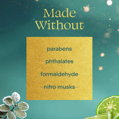 Glade PlugIns Scented Oil Refills, Bergamot & Eucalyptus, 5 Count