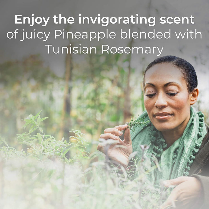 Botanica by Air Wick Plug Scented Oil Refill, Fresh Pineapple & Tunisian Rosemary, 2-Pack - First Choice Buying