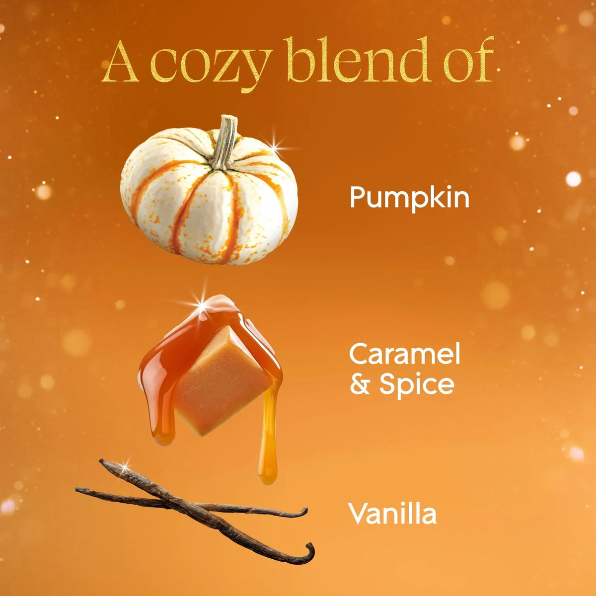 Glade PlugIns Scented Oil Refills, Pumpkin & Ginger, 0.67oz, 5 Count -