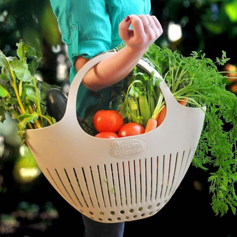 Person carrying large garden colander filled with fresh vegetables outdoors