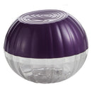 Red Onion