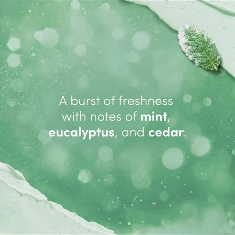 Dove Limited Edition Body Scrub, Winter Mint, 3.5oz -