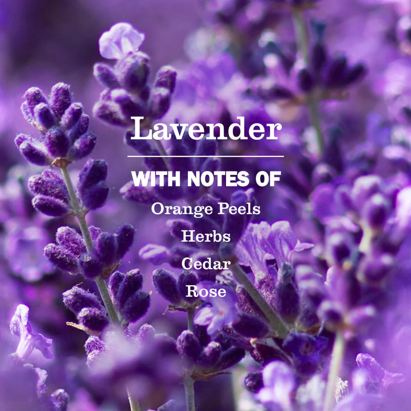 Mrs. Meyer's Room Freshener Spray, Lavender, 8oz