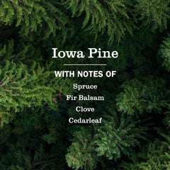Mrs. Meyer's Clean Day Hand Lotion, Iowa Pine, 12oz
