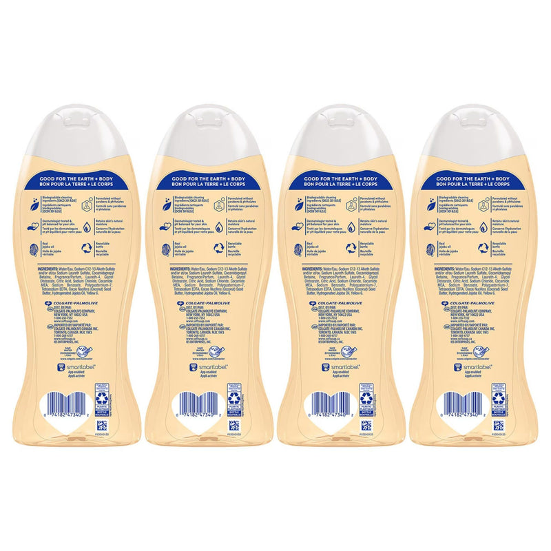 Softsoap Moisturizing Body Wash, Warm Vanilla & Jojoba Oil, 20 fl oz - First Choice Buying
