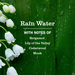 Mrs. Meyer's Dryer Sheets, Rain Water, 80 Count